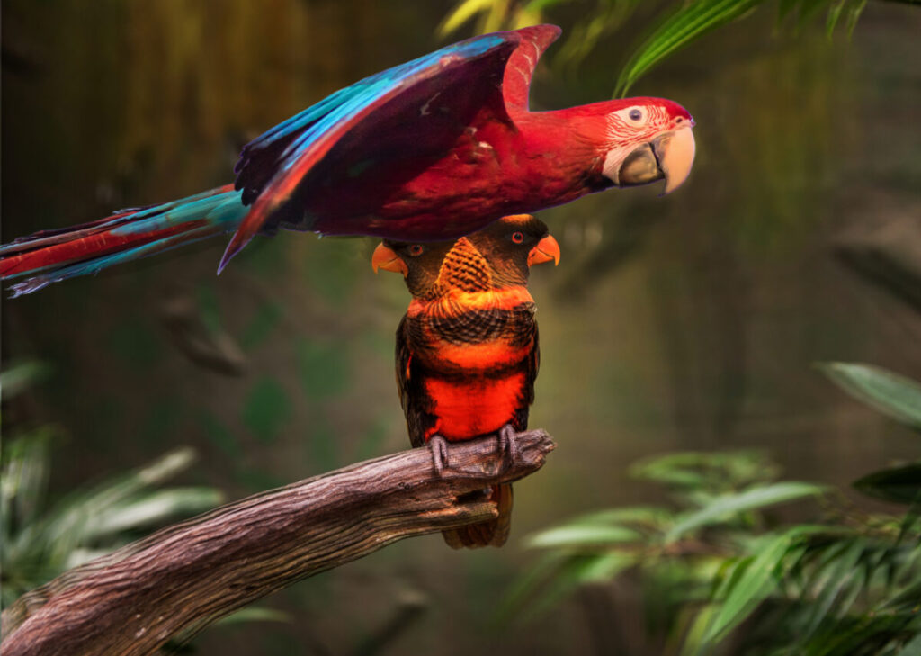 ZooTampa is an exciting attraction near Sunshine Village. Travel Time is about 1 hour