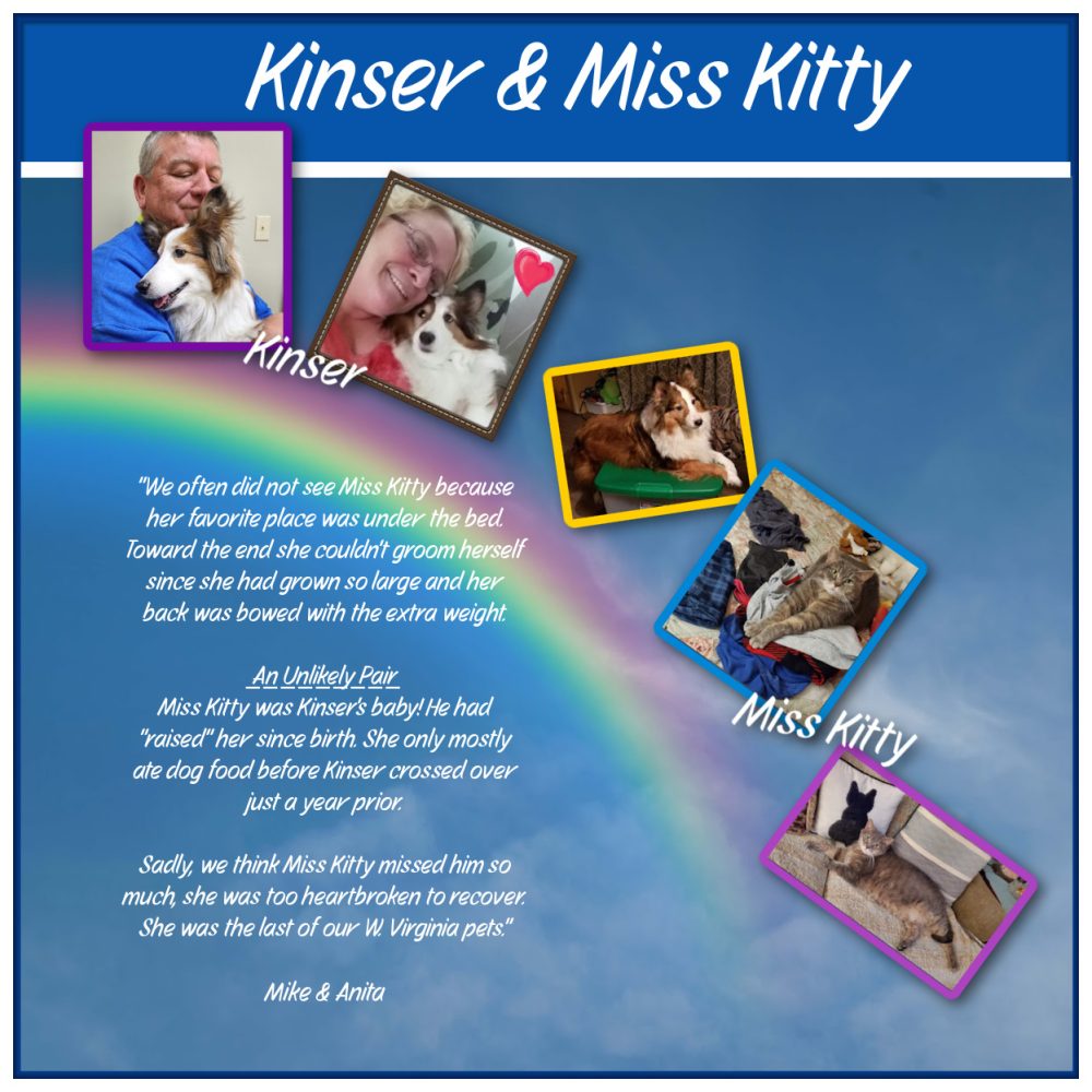 Our pets are an important part of the community at Sunshine Village. Patrick lives in Webster at Sunshine Village. Located in Central Florida near The Villages.