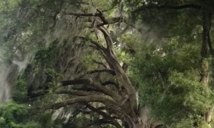 Majestic oaks are common in the surrounding area at Sunshine Village in Central Florida near The Villages in Webster. New Homes and RV sites