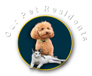 Pictures of our pet residents at Sunshine Village