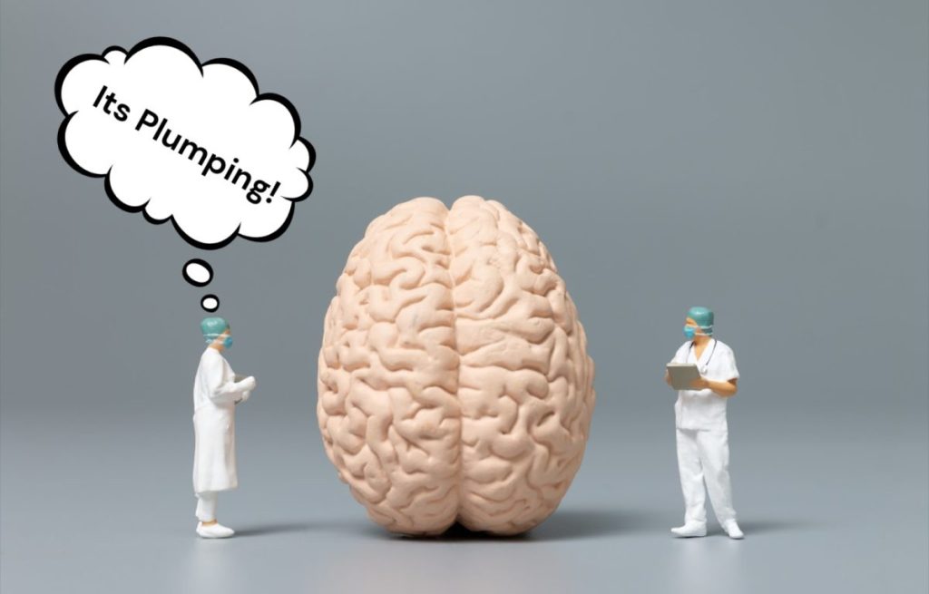 When living in the moment or wonder, brain health improves