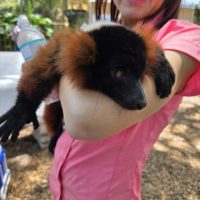 Community activity and visit to Chase Sanctuary in Webster FL near Sunshine Village.