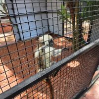 Community activity and visit to Chase Sanctuary in Webster FL near Sunshine Village.