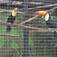 Community activity and visit to Chase Sanctuary in Webster FL near Sunshine Village.