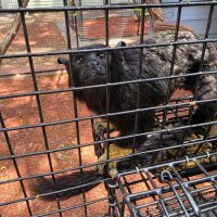 Community activity and visit to Chase Sanctuary in Webster FL near Sunshine Village.