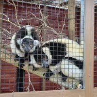 Community activity and visit to Chase Sanctuary in Webster FL near Sunshine Village.