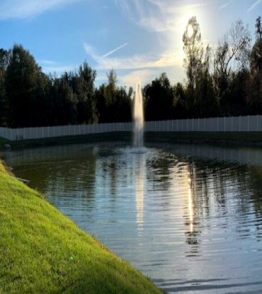 Small community pond stocked with talapia, brim and bass